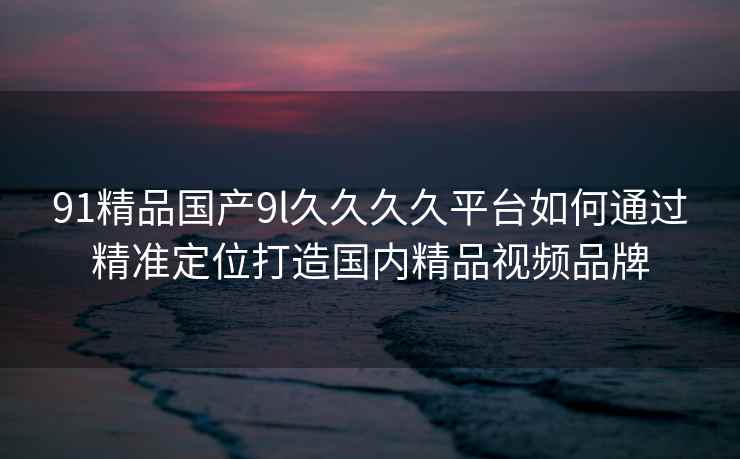 91精品国产9l久久久久平台如何通过精准定位打造国内精品视频品牌