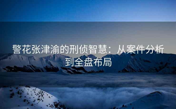 警花张津渝的刑侦智慧：从案件分析到全盘布局