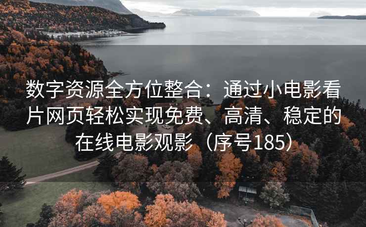 数字资源全方位整合：通过小电影看片网页轻松实现免费、高清、稳定的在线电影观影（序号185）