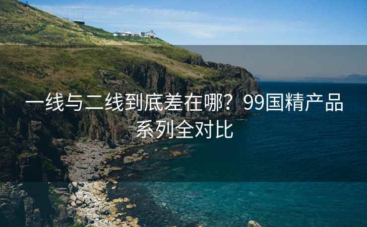 一线与二线到底差在哪？99国精产品系列全对比